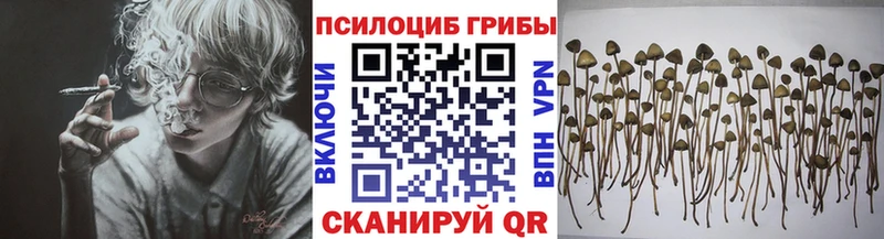 Галлюциногенные грибы MAGIC MUSHROOMS  дарк нет состав  Каменногорск  блэк спрут онион 